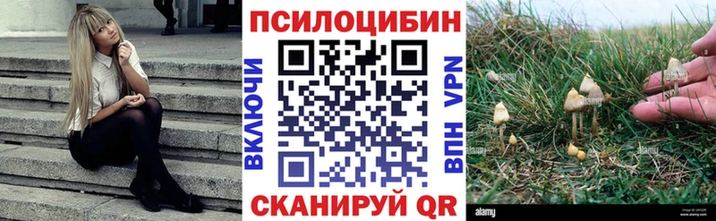 Псилоцибиновые грибы мицелий  закладка  Шадринск 